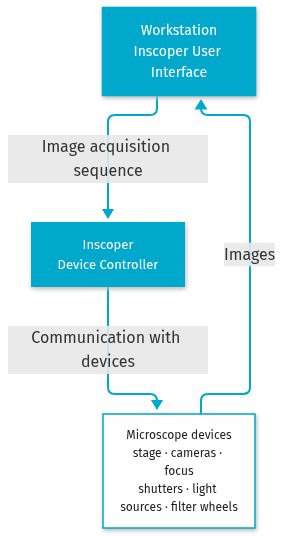Mermaid Diagram
