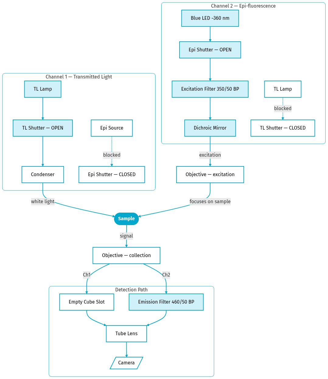 Mermaid Diagram